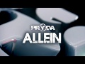 Allein by Pryda