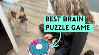How I Taught My Dog to Pull with a Brain Puzzle Game