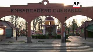 Mexico's so-called water monsters, as the Axolotl salamanders are known, have been spotted in the wa