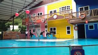 preview picture of video 'Fieldtrip Taman Safari Dolphin shows Kelompok Unta. Sekolah Hikari.'