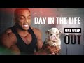 BIGGER & BETTER EPISODE 7 | A Day In The Life: One Week Out