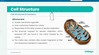 Cambridge International A Levels - Biology [9700] : Cells as the basic units of living organisms
