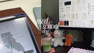 med school vlog 🦴 | busy productive week in med school, musculoskeletal classes, matcha and yochi 🍦