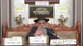 הרב מאיר שמואלי | פרשת כי תשא | מוסאיוף