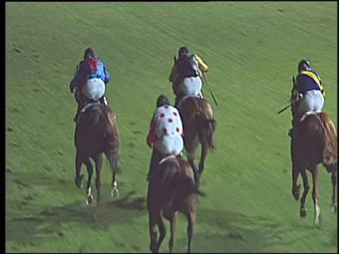 Galoppo 27/08/2016 - 5° corsa