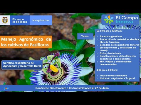 , title : 'Manejo Agronómico de los cultivos de Pasifloras'