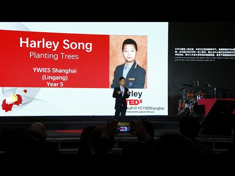 Trees - A Better World | Harley Song | TEDxYouth@YCYWShanghai