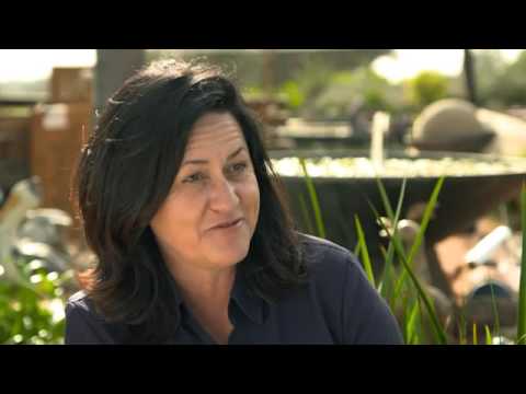 Woodvale Fish And Lily Farm Introduction Woodvale Fish And Lily Farm Introduction