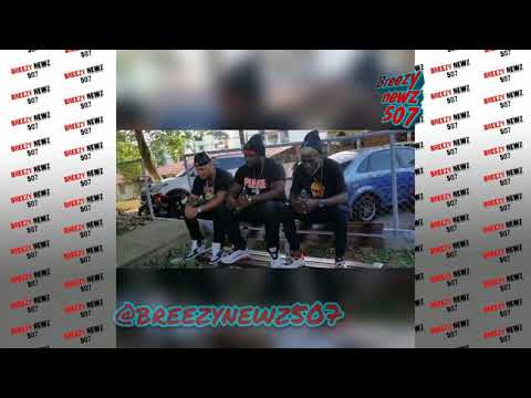 Mr Fox X Pascual - ley del duende (detrás de camara)