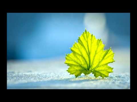 Big Bud - Meditation Dub