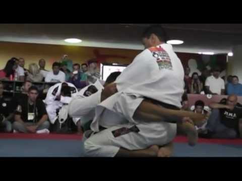 PanoraMMA 360º - Lutas de MMA