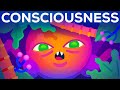 The Origin of Consciousness – How Unaware Things Became Aware