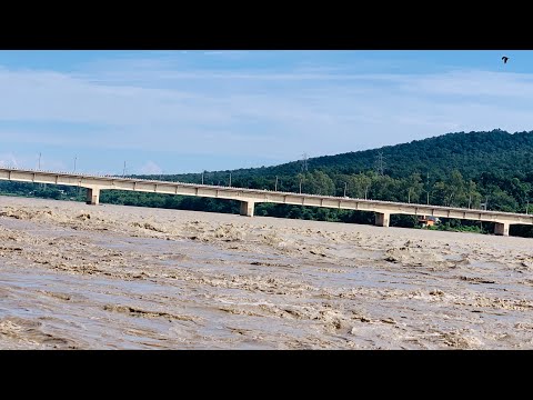 Yamuna River Paonta Sahib🍂🍂🍁🍁🍀☘️☘️☘️🍀🌴🎄🌲🌿🌱