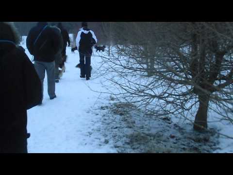 29.03.2013 Hundetreffen