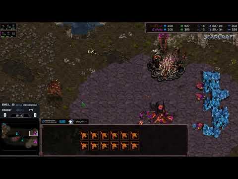 BSL8 RO24 - Group E - Ty2 [Z] vs Cross [Z]