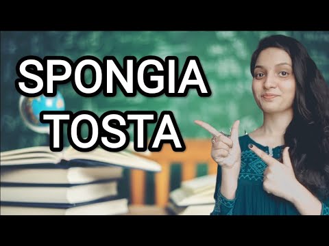 Father muller spongia tosta drop 200