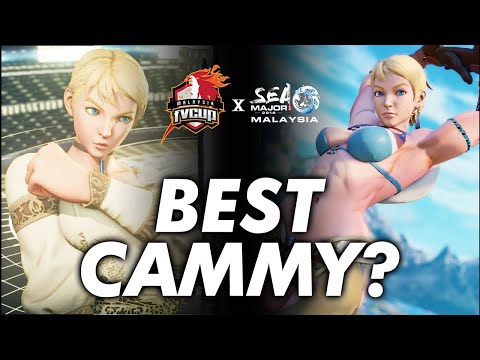 2019 TOP SFV CAMMY IN THE WORLD! Cygames Beast Gamerbee! #FVXSEAM2019