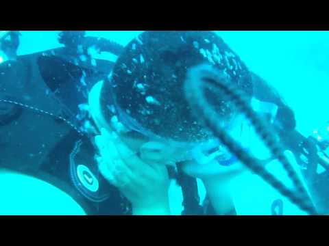 proposal of marriage dünyanin en güzel evlenme teklifi