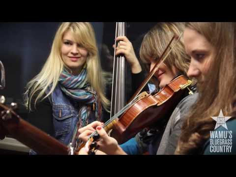 Della Mae - Turtle Dove [Live at WAMU's Bluegrass Country]