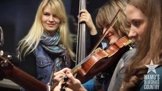 Della Mae - Turtle Dove [Live at WAMU's Bluegrass Country]