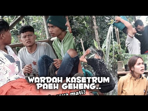 wardah-paehkasetrum-video-lucu-oconchanneljpg