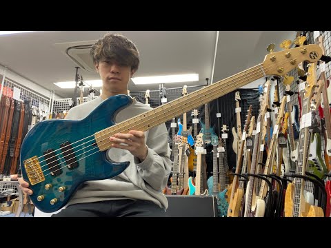 MARUSZCZYK / ELWOOD L 5a 2 Tone Turquoise-Blue【Test Play】