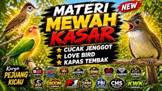 Download lagu Materi Mewah Kasar, Cucak Jenggot, Love Bird & Kapas Tembak mp3
