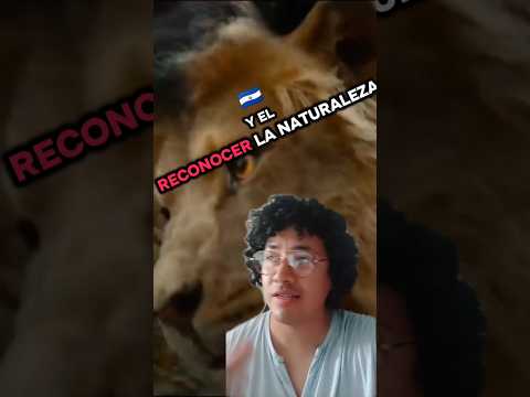 Sobre Oz El Poderoso (Fragmento de Crítica)