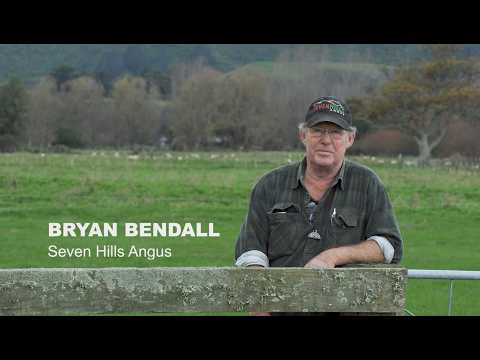 Bryan Bendall Interview