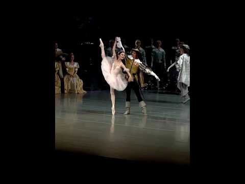 (Thanks kustov_fred) May Nagahisa - Rose Adagio from “the Sleeping Beauty” -Mariinsky Ballet