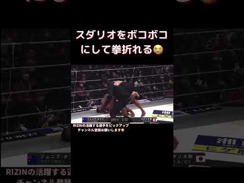 スダリオ剛がボコボコにされる#mma #格闘技 #総合格闘技 #rizin #おもしろ動画 #スダリオ剛