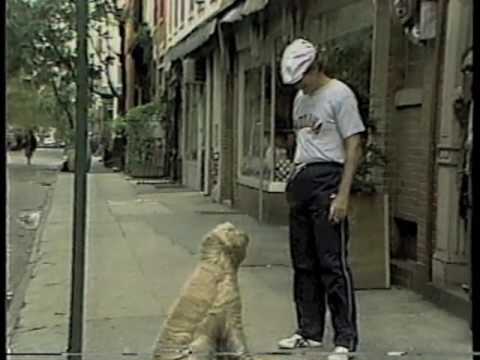 Amazing Stories on Letterman, September 30, 1985