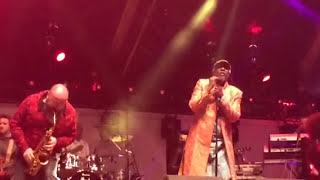 Alpha Blondy - No Brains, No Headache