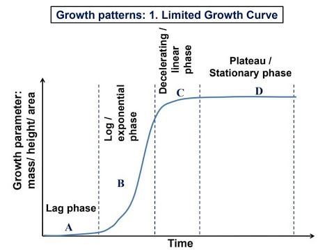 10.3 Growth pattern _ 1.Limited growth curve (annual plant)