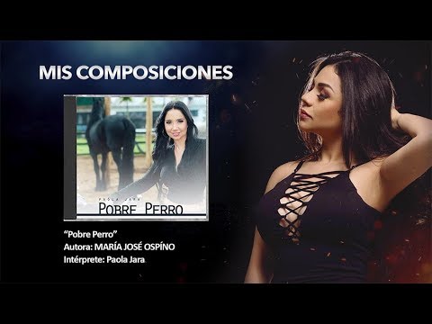 MIS COMPOSICIONES. Pobre Perro - Paola Jara