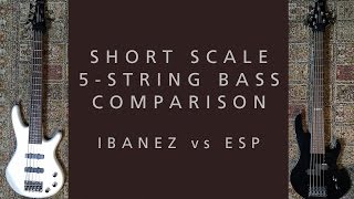 Video thumbnail for Short-Scale 5 String Bass Comparison - Ibanez GSRM25 Mikro vs ESP LTD B 5JR 5 -  Demo Review #2 by That Dam Fly
