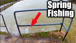 Spring Fishing Conditions in Tennessee - Realistic Bass and Bluegill