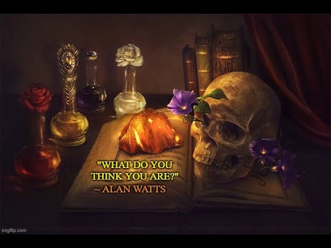 Alan Watts - Myth of Myself (HooRaY! Remix)