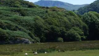 Conservation of Upland Powys -Mid Wales.......Hiraeth