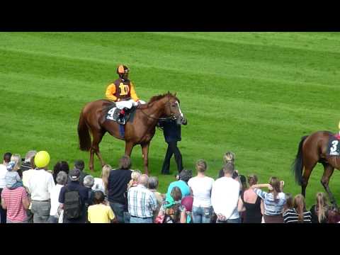 dallmayr renntag,in Muenchen,Pferderennen