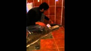 Su Tesisatçısı - - 0212 634 99 88