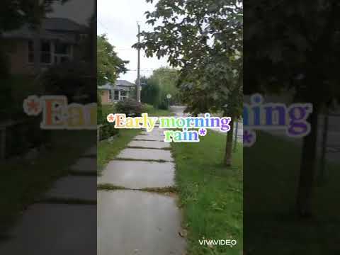 *Early morning rain* By: Peter,Paul & Mary