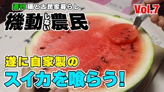 猛暑とスイカな1週間っ！