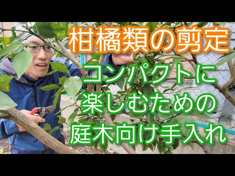  2022年の月の果樹の剪定について知っておくべきことは何ですか?剪定について知っておくべきヒント  庭園