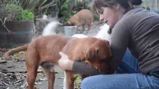 Have you seen how far Concho has come?