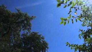 come and close my eyes