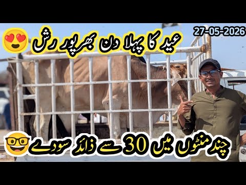Eid Day 1 Northern Bypass Mandi possition Rates & Bargaining May 27 2026||Vlog with osama