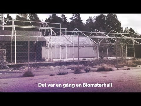 BREDÅKRA Blomsterhall - 190924 - Hasselstad - KALLINGE (Ronneby) - BLEKINGE