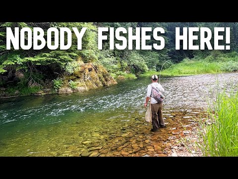 How I Find Remote Trout Streams — No Crowds, Just Wild Fish!