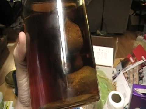 alien alien in a jar in a differnt jar